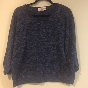 Cathy Daniels Blue Sweater Large